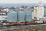 BNSF 7163-BNSF 5262-BNSF 5925-FXE 713554